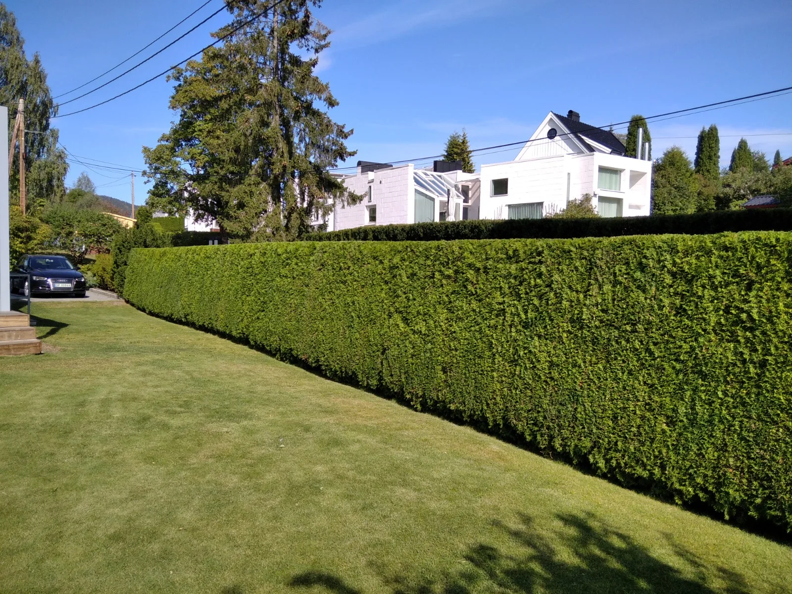 Plenklipping