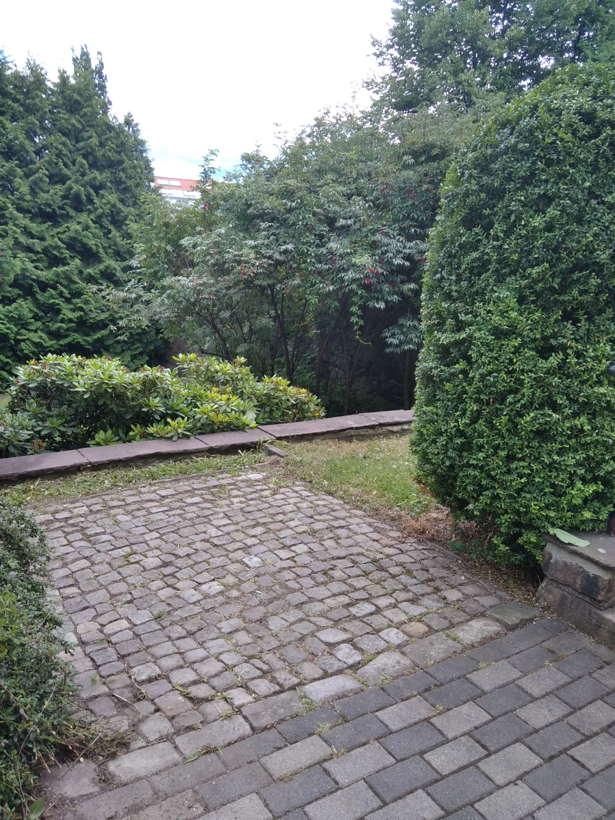 Ugressfjerning